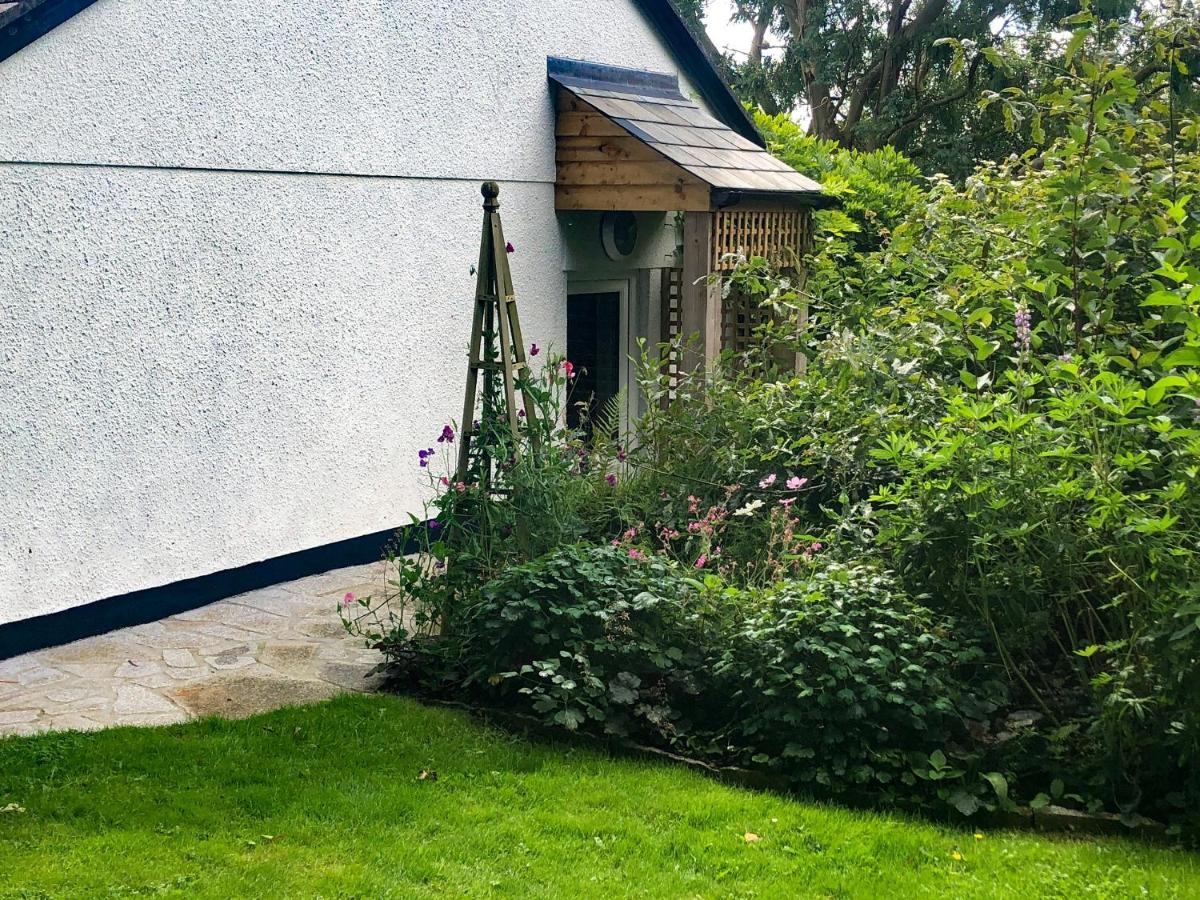 Primrose End Villa Bude Buitenkant foto